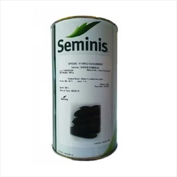 فروش بذر خیار سوپر دومینوس سیمینس(SuperDominus)