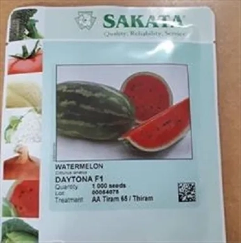 فروش بذر هندوانه روبی ساکاتا 