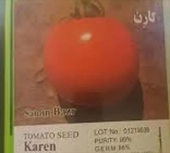 بذر گوجه فرنگی  کارن 