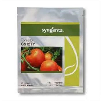 فروش بذر گوجه فرنگی جی اس 12 سینجنتا