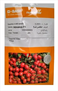 فروش بذر گوجه فرنگی ادونس 