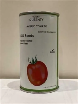 فروش بذر گوجه فرنگی کوینتی 