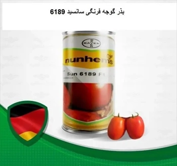 قیمت بذر گوجه فرنگی سانسید 6189