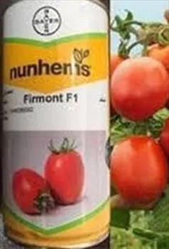 بذر گوجه فرمونت f1 باسف المان