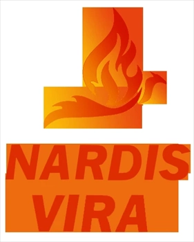 مشاوره ایمنی آتش نشانی ناردیس ویرا