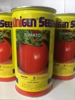 بذر گوجه فرنگی یونی ژن _ قیمت بذر 
