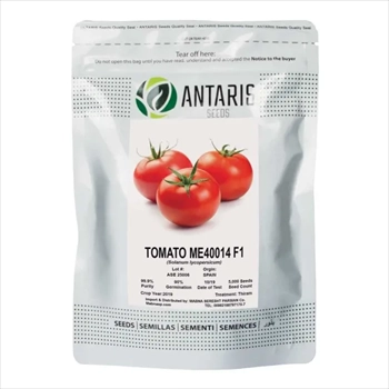 فروش بذر گوجه فرنگی me40014