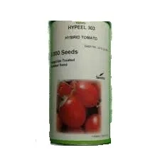 بذر گوجه فرنگی هیبرید های پیل 