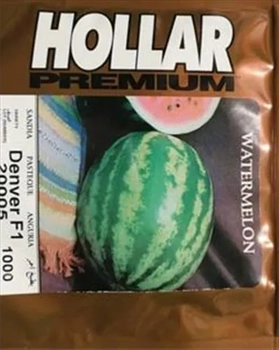 فروش بذر هندوانه هیبرید دنور 