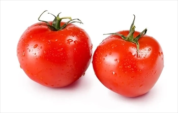 فروش بذر گوجه فرنگی پتو پراید5