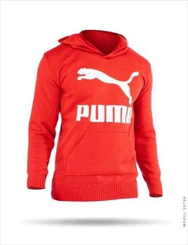 1000 هودی بافت مردانه کلاه دار Puma (2024)