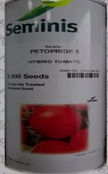 قیمت بذر گوجه پتوپراید 5