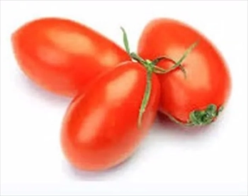  بذر گوجه فرنگی جامبوf1