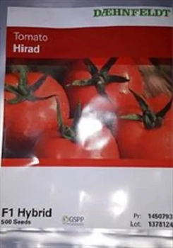 فروش بذر گوجه فرنگی گلخانه ای هیراد