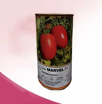 فروش بذر گوجه فرنگی مارول هیبرید اسپانیایی