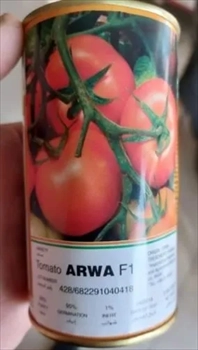 فروش بذر گوجه فرنگی آروا 