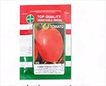 بذر گوجه فرنگی تیتانf1 خرید عمده بذر گوجه تیتان