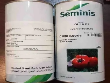 قیمت بذر گوجه فرنگی اولا 