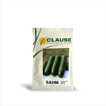 فروش بذر خیار کلوز (CLAUSE)
