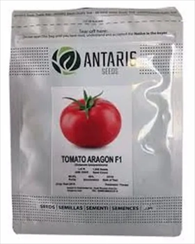  بذر گوجه گلخانه ای اراگون f1انتاریس