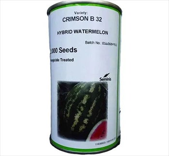 فروش بذر هندوانه بی 32 