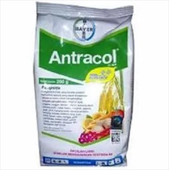 فروش سم قارچ کش انتراکول ( سم  Antracol )