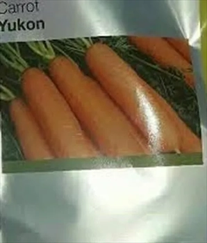بذر هویج یوکان سینجینتا