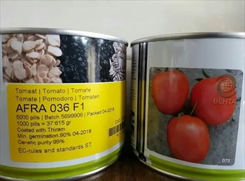 قیمت بذر گوجه فرنگی افرا تایلندی 