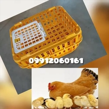 فروش ویژه قفس حمل مرغ زنده 