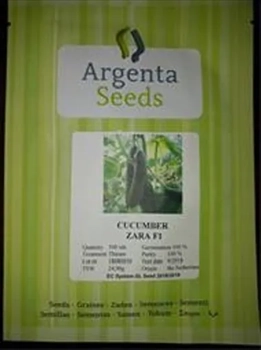 توزیع و فروش بذر خیار گلخانه ای زارا