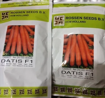 فروش بذر هویج نانتس 