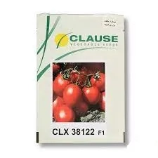 بذر گوجه فرنگی CLX 38122 