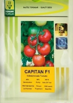 بذر گوجه کاپیتان 