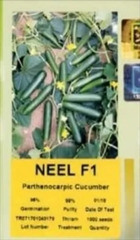 بذر خیار نیلf1