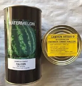 فروش بذر هندوانه کریمسون فالکون 