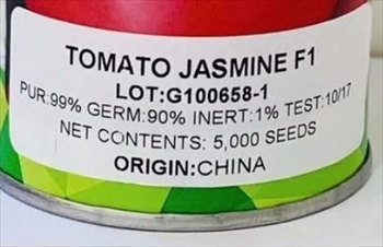 بذر گوجه فرنگی جاسمینf1