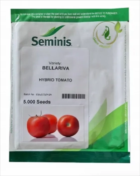 فروش بذر گوجه فرنگی SV4592