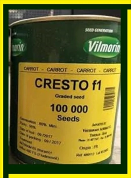  بذر هویج کریستو ویلمورین