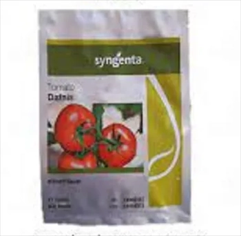 بذر گوجه فرنگی دافنیس سیننجنتا