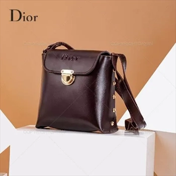 1000 کیف زنانه Dior (2024)
