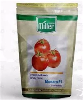  بذر گوجه فرنگی موناکو صادراتی