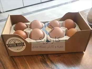 کارتن سازی کارنوپک تولید انواع کارتن تخم مرغ 
