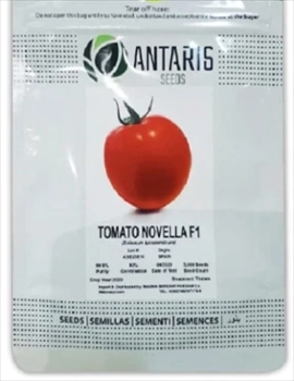  بذر گوجه فرنگی نولا آنتاریس