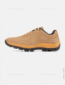 1000 کفش مردانه Calvin Klein (2024)