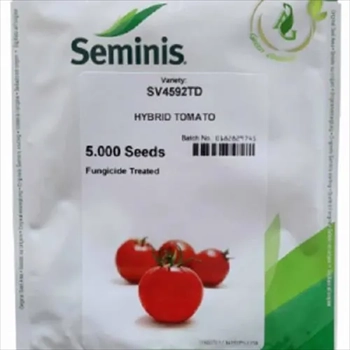 فروش بذر گوجه فرنگی SV4592