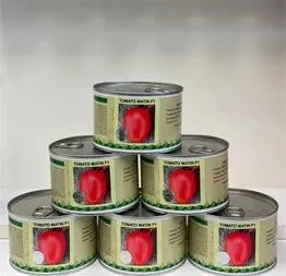 فروش بذر گوجه متین دانمارکی