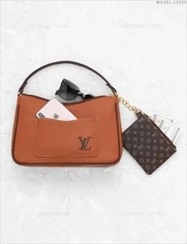 1000 کیف دستی زنانه Louis Vuitton (2024)