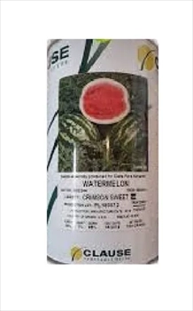 فروش بذر هندوانه کلوز