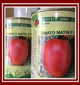 فروش بذر گوجه فرنگی متین
