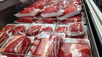 فروش گوشت گوساله منجمد برزیلی -سابین تجارت 